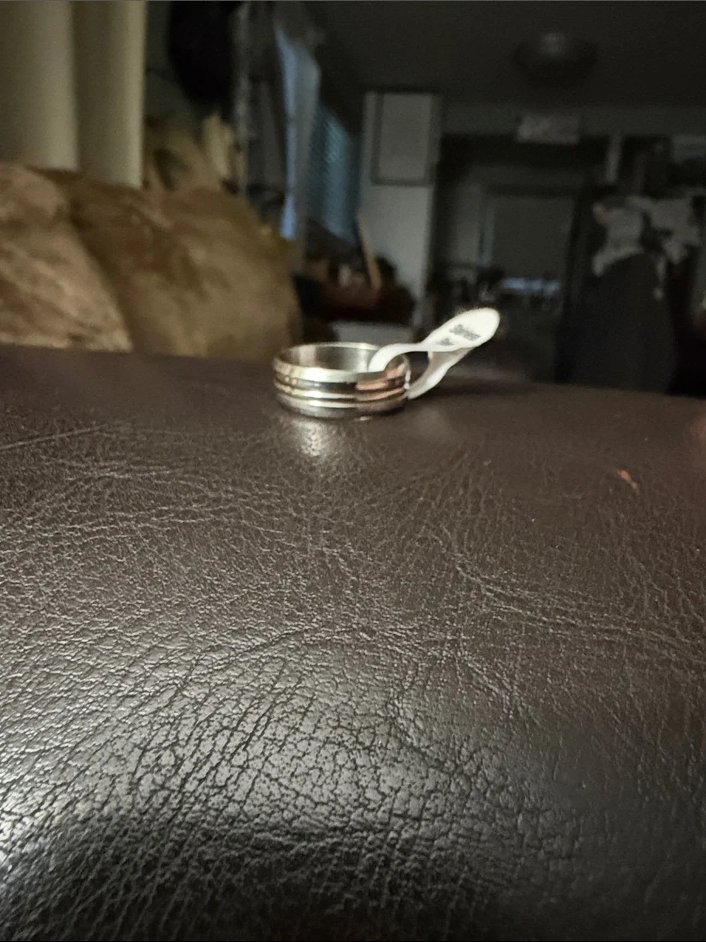 Sterling Silver Men's Spinner Ring - Silver Size 7